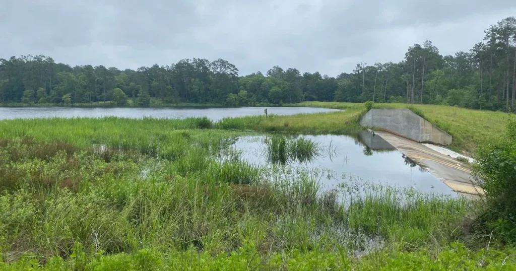 Learn more about environment studies that analyze infrastructure impact to ensure regulatory compliance and support sustainable planning.