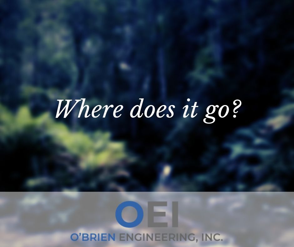 Where Does It Go?