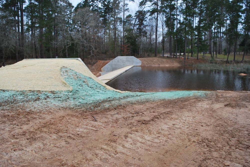 Levee and Dam Safety by OEI